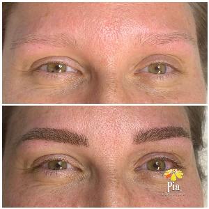 pia microblading in tampa fl - microshading near me
