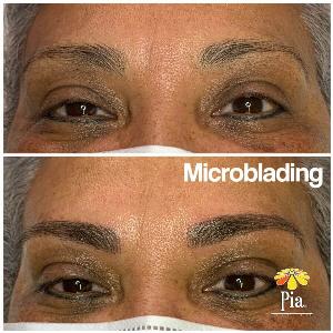 pia microblading in tampa fl - powder brows near me