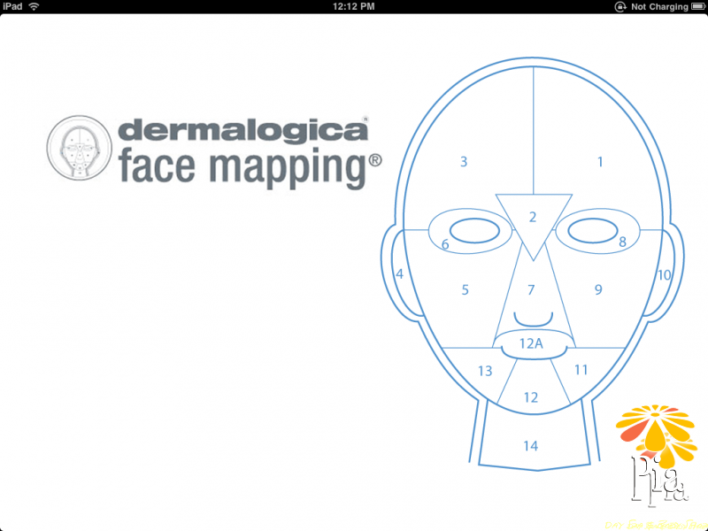 Face Mapping #facemapping