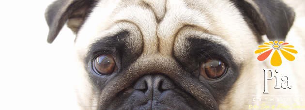 botox