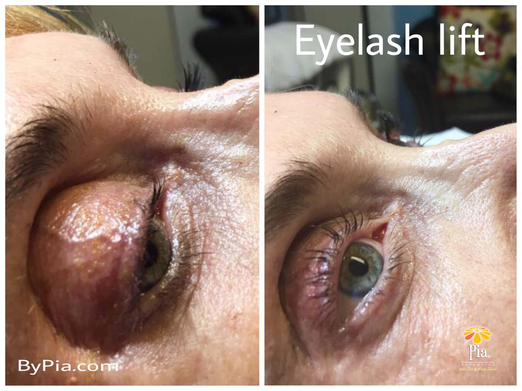 Calling All Lash Addicts!