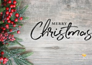 Merry Christmas from Pia Esthetics Day Spa!