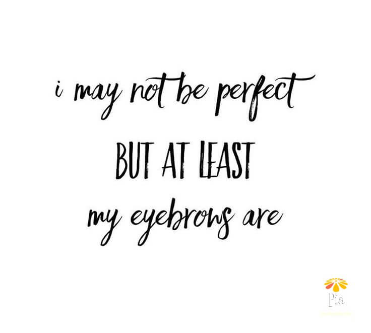 brows tampa orlando