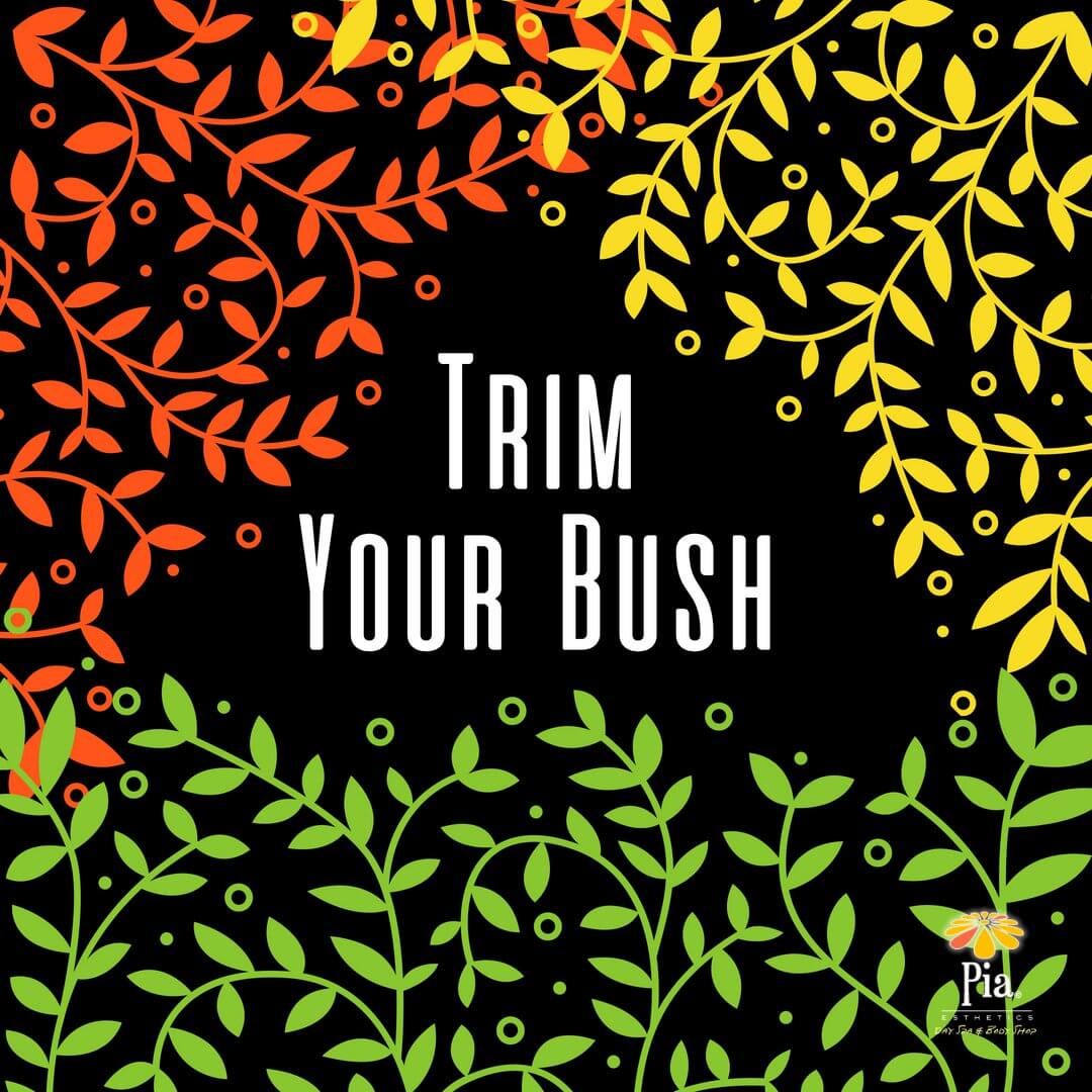 Trim your bush