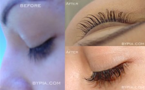 eyelash perm, perm, curl lashes, curling lashes, beautiful lashes