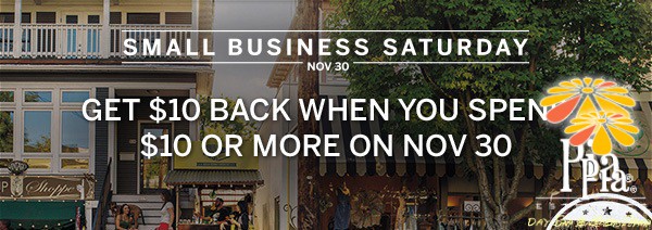 SUPPORT LOCAL BUSINESSES WHEN YOU SHOP SMALL