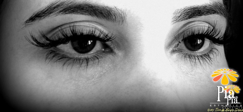 Lash XPRS - Rapid Lash - Dramatic Lashes
