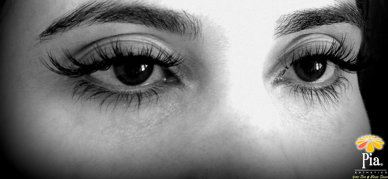 Lash XPRS - Rapid Lash - Dramatic Lashes