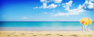 How to Give Your Chest and Back Some Extra Love This Summer-Part Two
