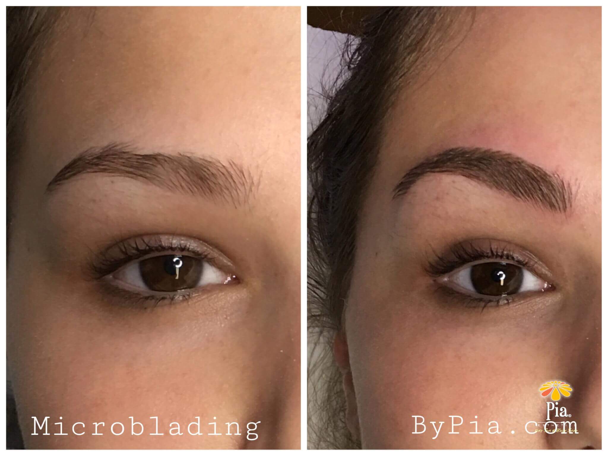 microblading westchase