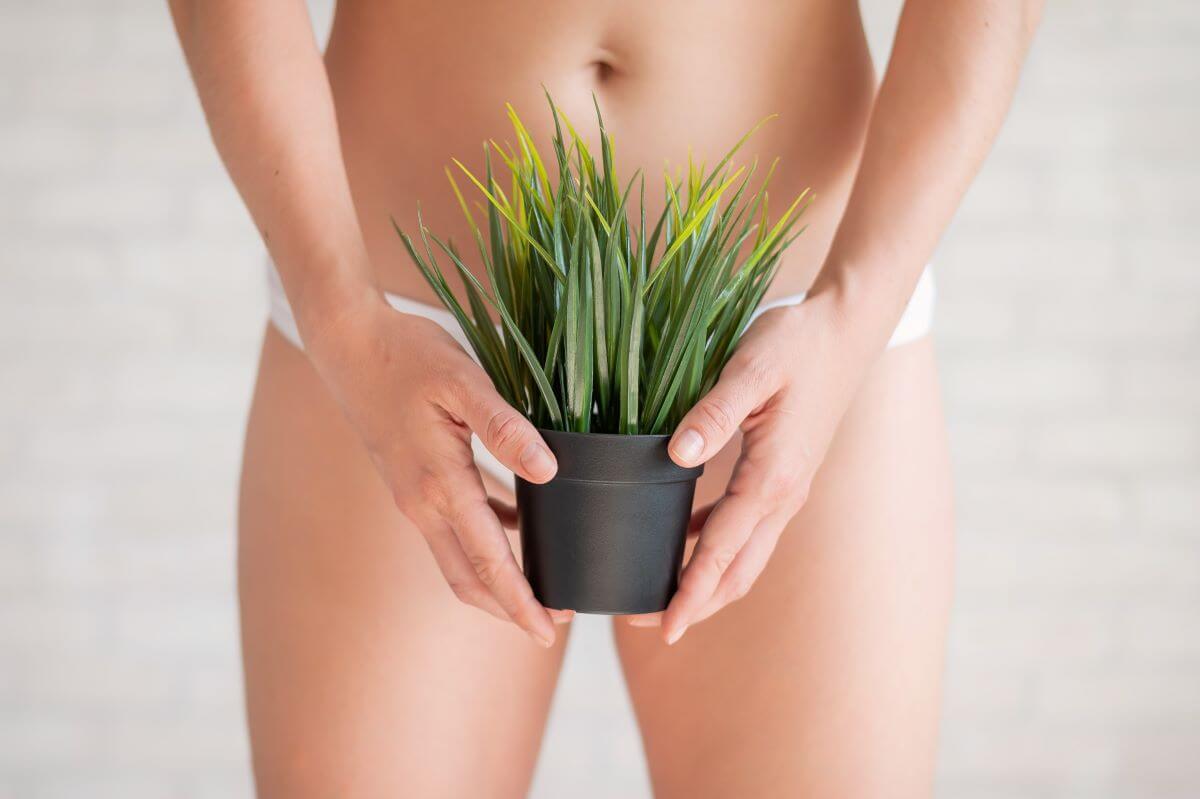 Brazilian wax Tampa