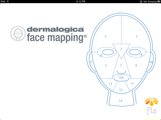 Face Mapping #facemapping